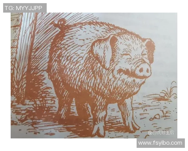 梦中奇遇足球明星退役的神秘故事与人生启示