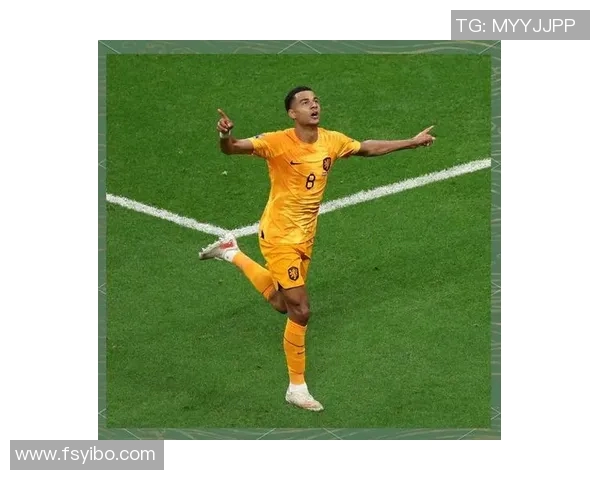 足球明星宣传册精彩瞬间展现球场魅力与激情的完美结合 足球明星宣传册精彩瞬间展现球场魅力与激情的完美结合