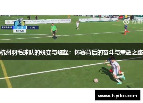 杭州羽毛球队的蜕变与崛起：杯赛背后的奋斗与荣耀之路